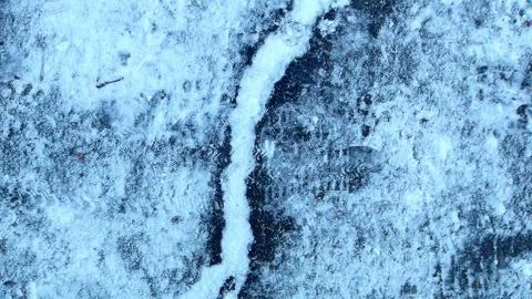 Root of the tree grows and makes its way through the asphalt in the winter se Stock Photos