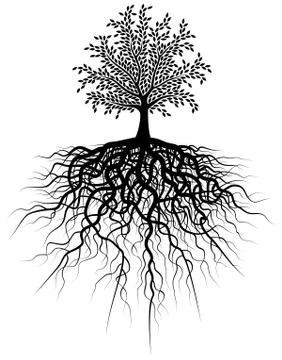 Root tree Stock Illustration