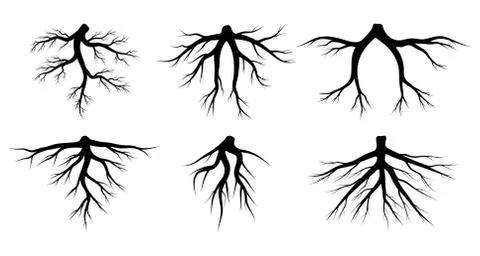 Root vector set isolated on white background. Tree roots system silhouettes c Stock Illustration