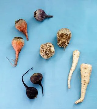Root Vegetable Still Life Stock Photos
