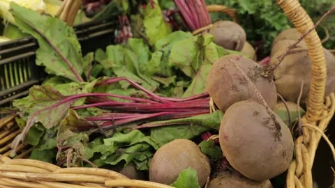 Root Vegetables and Leafy Greens in Baskets at Sydney Market Stall, Australia Stock Footage 345708422