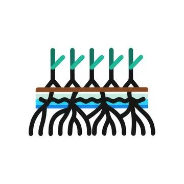 Root vegetables with green stems growing in soil and water Stock Illustration