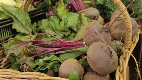 Root Vegetables with Leafy Tops in Wicker Basket at Sydney Market Stall Stock Footage 345708375