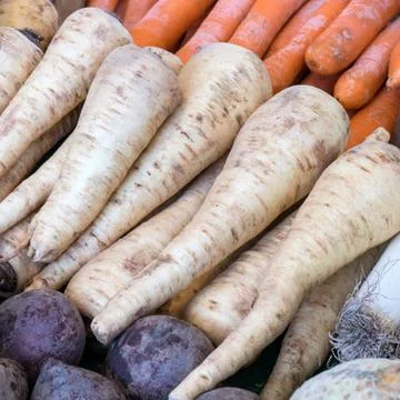 Root vegetables Stock Photos