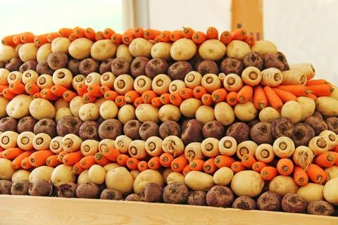 Root Vegetables. Foto stock