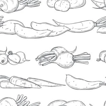 Root  vegetables..Vector pattern. Stock Illustration