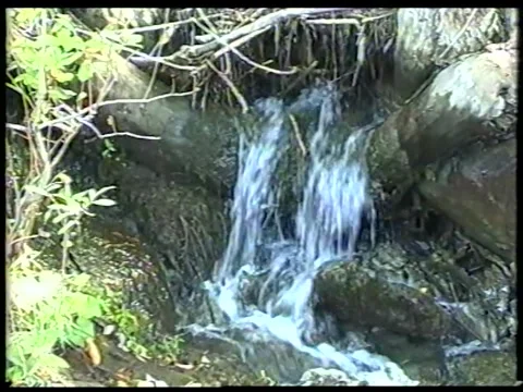 Root Waterfall Stock Footage 344380486
