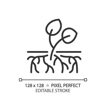 Rooting plant cutting linear icon Stock Illustration