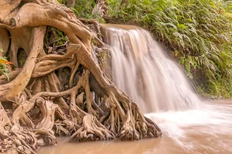 Roots and waterfall Stock Photos