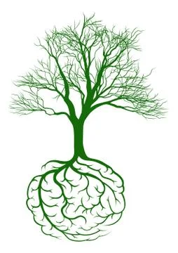 Roots brain Stock Illustration