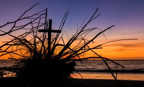 Roots of the Cross Foto stock
