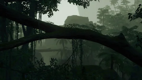 Roots of exotic trees with thicket of shrubs and ferns against sunlight Stock Footage 248726705