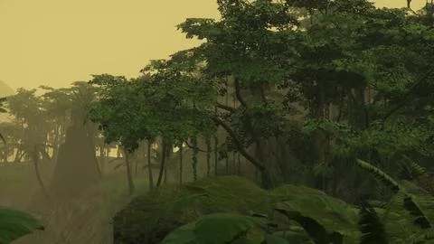 Roots of exotic trees with thicket of shrubs and ferns against sunlight Illustrazione stock
