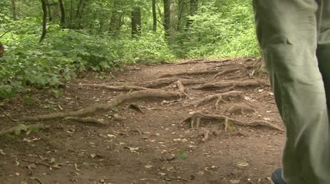 Roots foots Stock-Footage 12050722