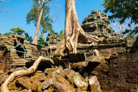 Roots of giant tree on the atient old Ta Phrom Temple, Angkor Wat, Cambodia Stock Photos