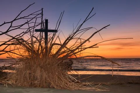 Roots of Salvation Stock Photos