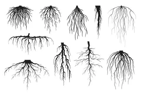 Roots Silhouettes Stock Illustration