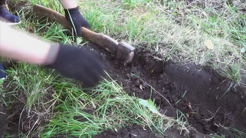The roots of the tree are chopped off with an ax. Removing the remains of trees Stock Footage 196929327