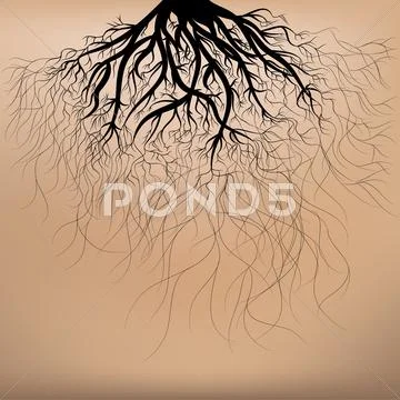Roots of the tree Stock Illustration