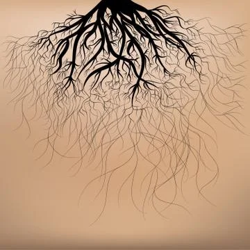 Roots of the tree Stock Illustration