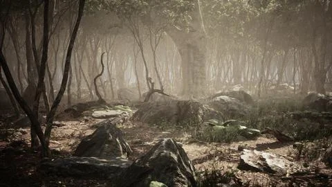 Roots of a tree in a misty forest Stock Illustration