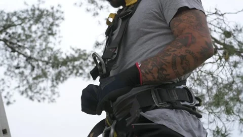 Rope access technician checking safety harness before climbing tree Stock Footage 302246624