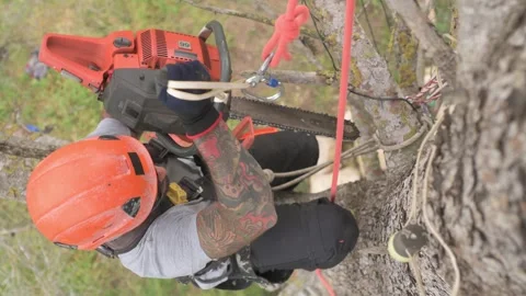 Rope access technician hoisting a chainsaw by a rope Stock Footage 302790412