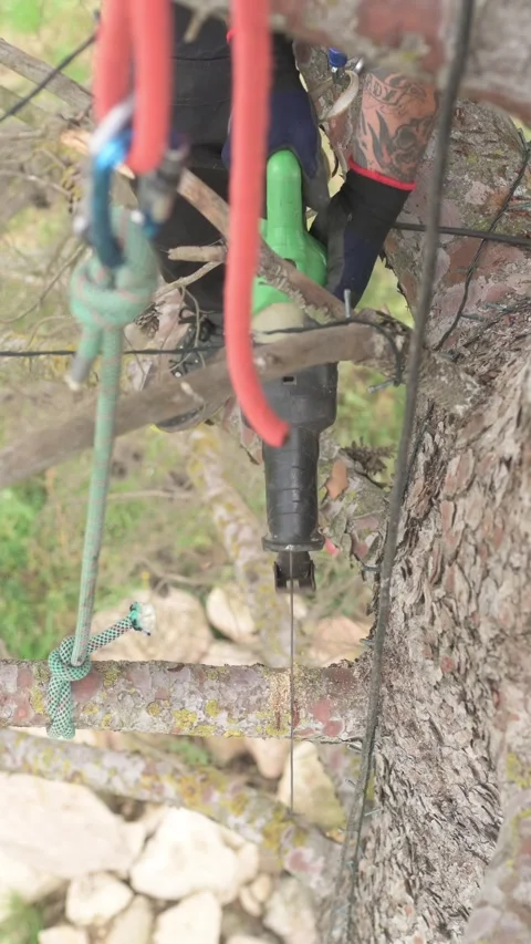 Rope access technician pruning tree branch with electric saw Stock Footage 301860020