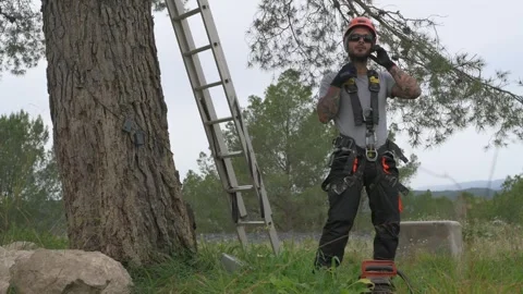 Rope access technician putting on protective helmet Stock Footage 302161902