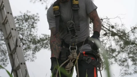 Rope access technician securing himself on a tree Stock Footage 301860300