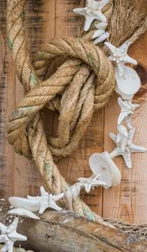 Rope and shell Stock Photos