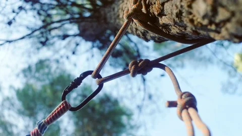 Rope attached to a tree with a carabiner. Stock Footage 219095440