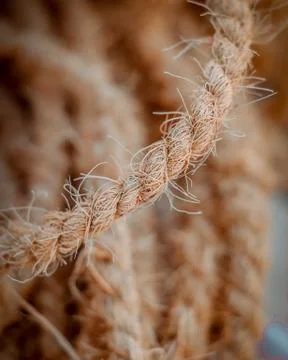 Rope with blur background Stock Photos