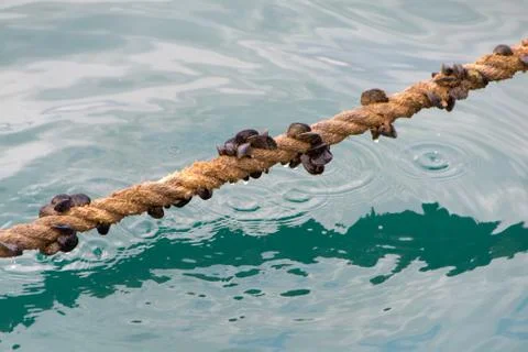 Rope for boat docking Stock Photos