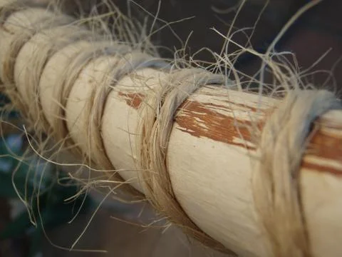 Rope on a branch Foto stock