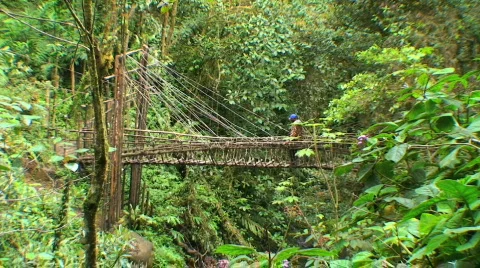 Rope bridge 動画素材 368680