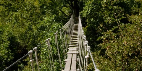 Rope bridge in the forest on a sunny day Stock Footage 103754575