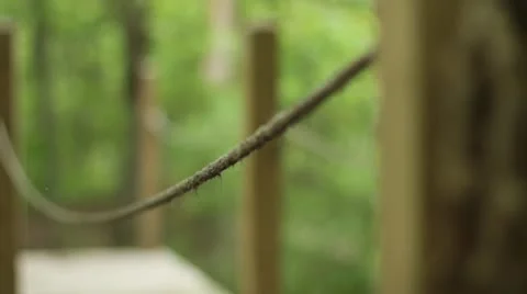 Rope Bridge in Jungle Stock Footage 12101296