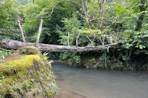 Rope bridge over the river Stock Photos