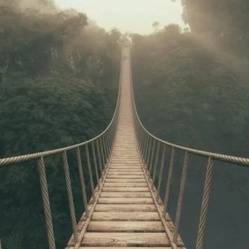 Rope bridge suspended Stock Illustration