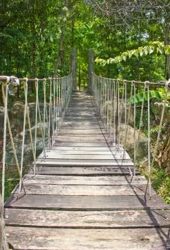 Rope bridge through the forest. Stock Photos