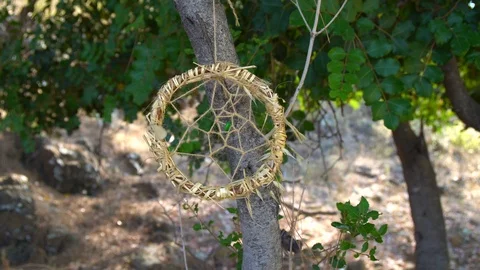 Rope circle Stock Footage 93091401