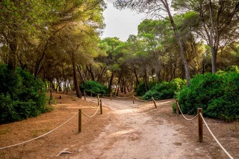 A rope fenced walking path through a small natural reserve in Alcudia Stock Photos