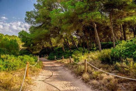 A rope fenced walking path through a small natural reserve in Alcudia Stock Photos