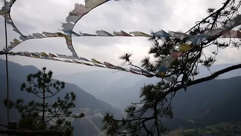 Rope with flags tied to pine branches and fluttering in the wind in the mountain Video stock 128001872