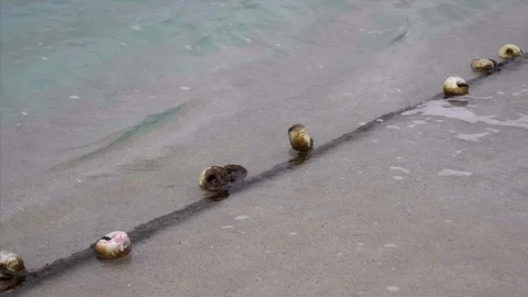 Rope floating in Mediterranean Stock Footage 98388276