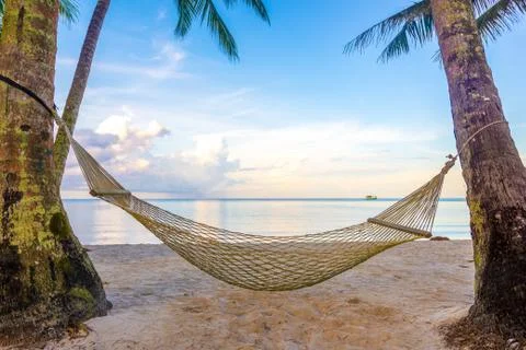 Rope Hammock with coconut tree Stock Photos