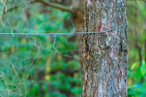 A rope with hooks for drying clothes during a hike is stretched between the t Stock Photos
