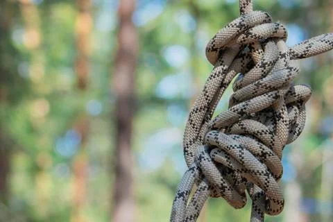 Rope knot. Stock Photos