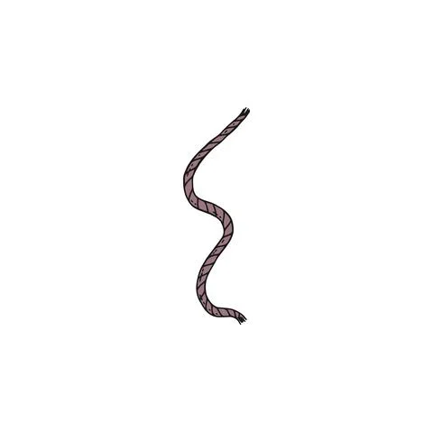 Rope lasso vector doodle sketch isolated illustration. Stock Illustration